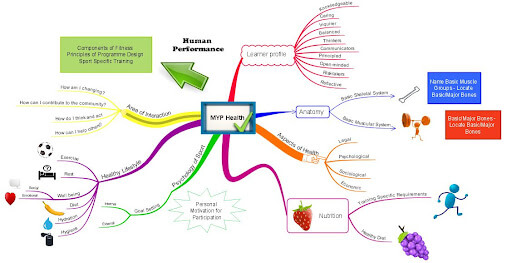 Mind mapping in education can be used for planning sports curriculums